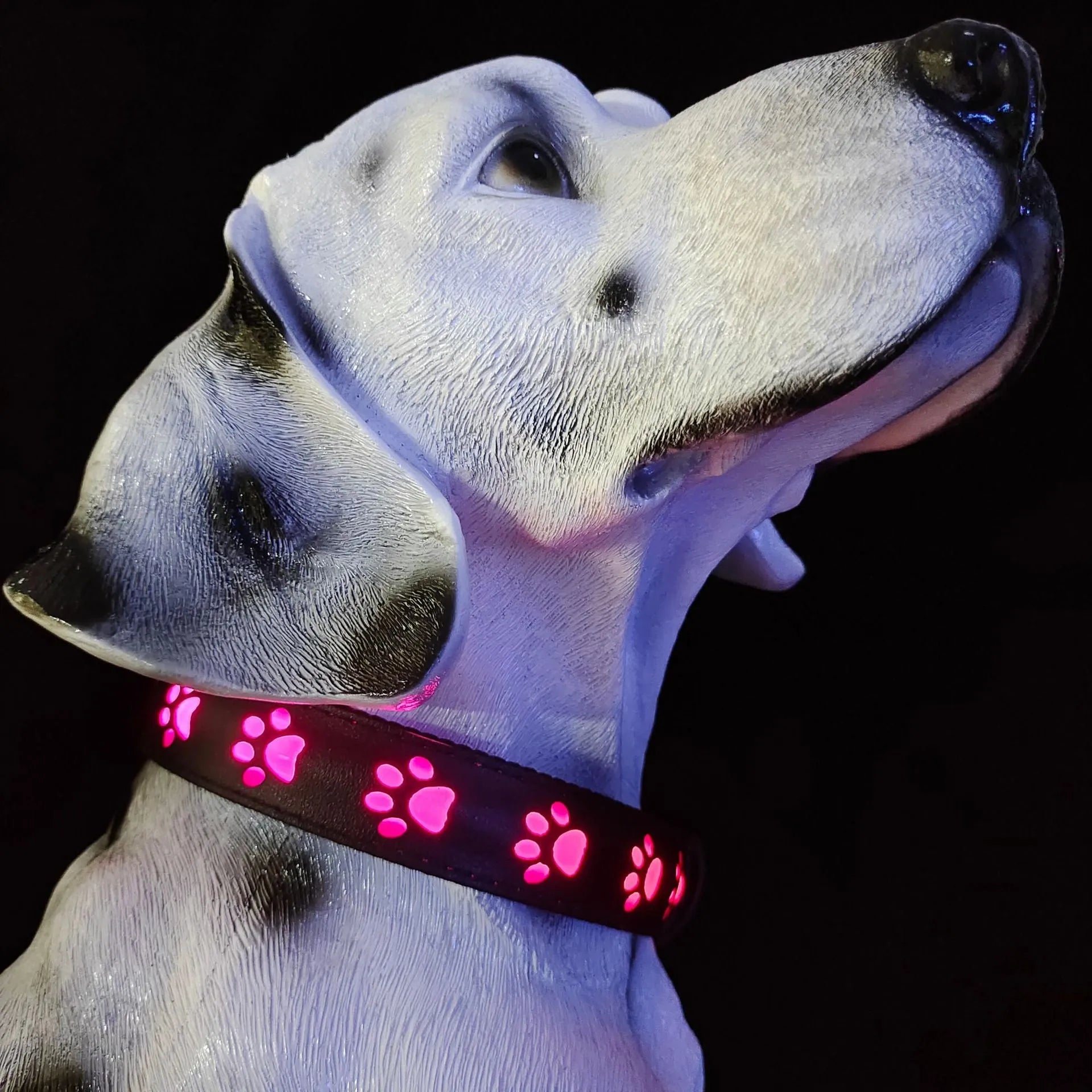 LED luminous pet collar with paw printing showing seven colour options on adjustable polyester band