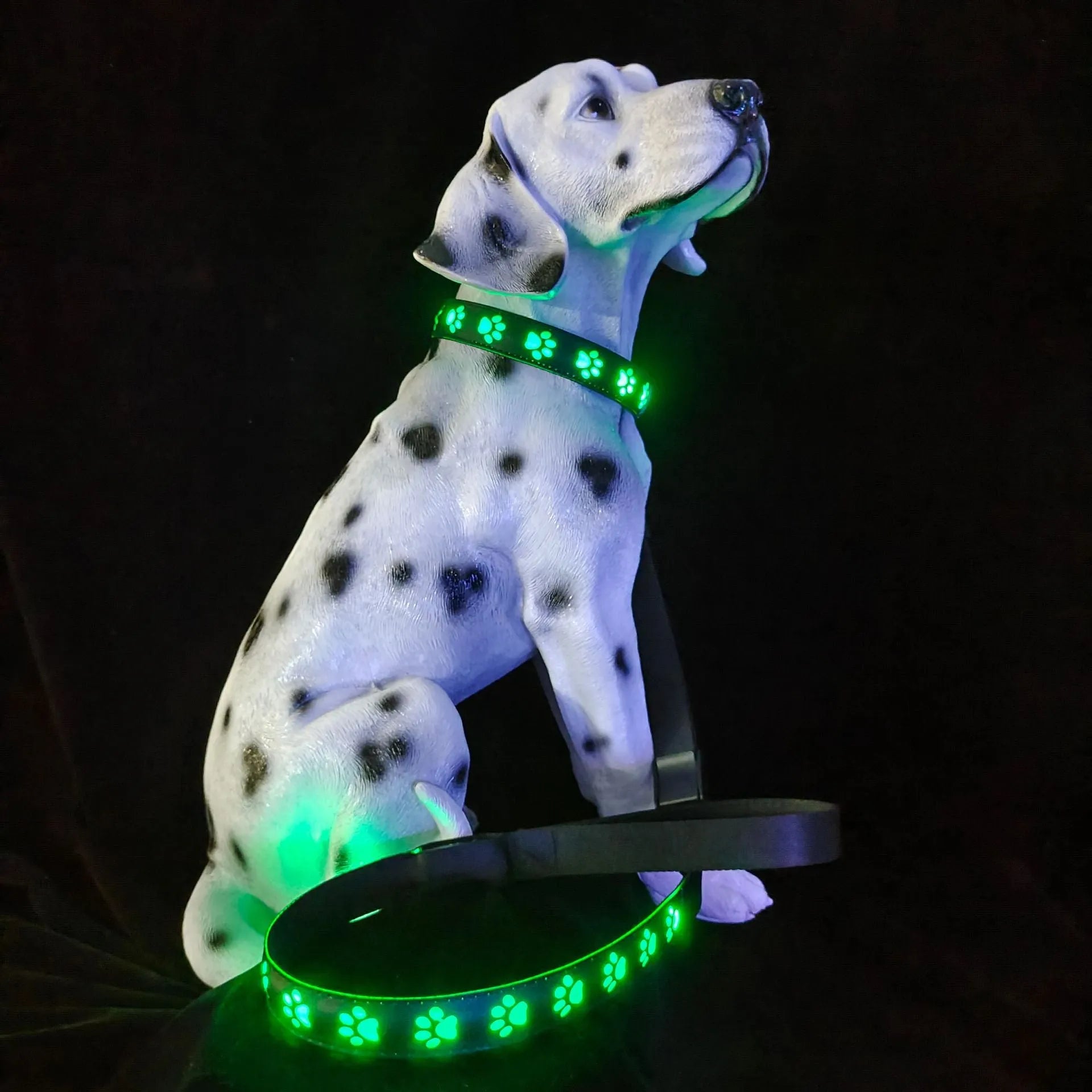 LED luminous pet collar with paw printing showing seven colour options on adjustable polyester band