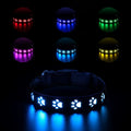 LED luminous pet collar with paw printing showing seven colour options on adjustable polyester band