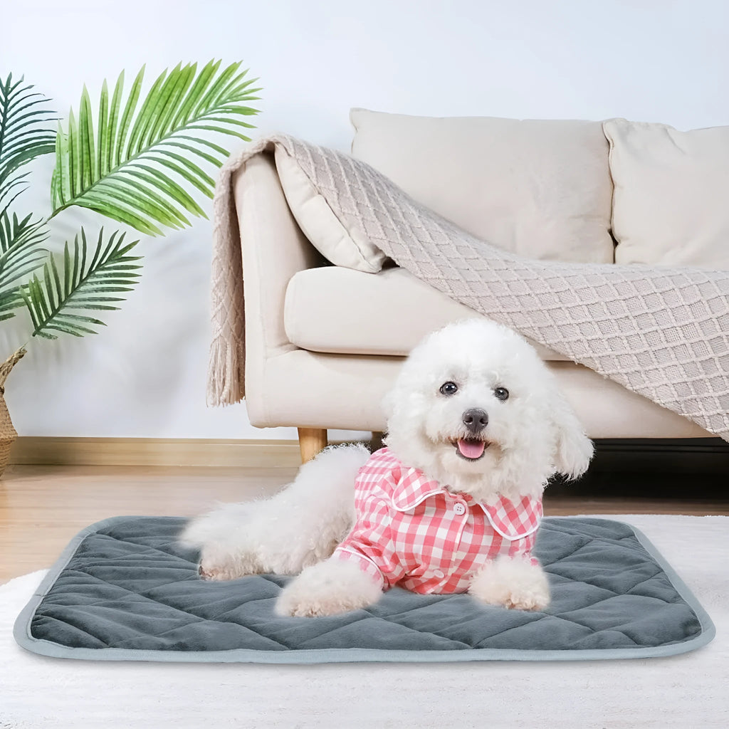 Grey multi-layer pet cushion for dogs and cats available in four different sizes