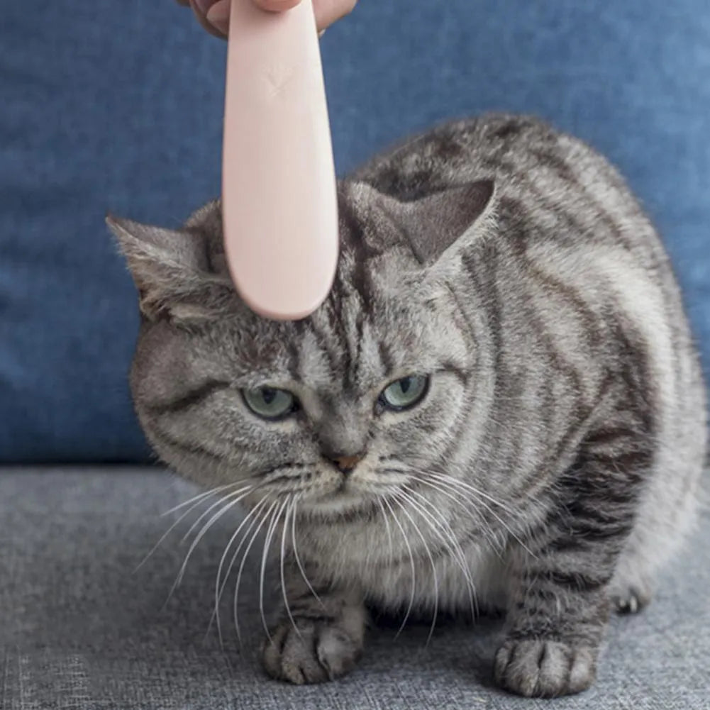 Gray cat comb with tongue massage design and narrow and wide ends, 21cm length, on a white background