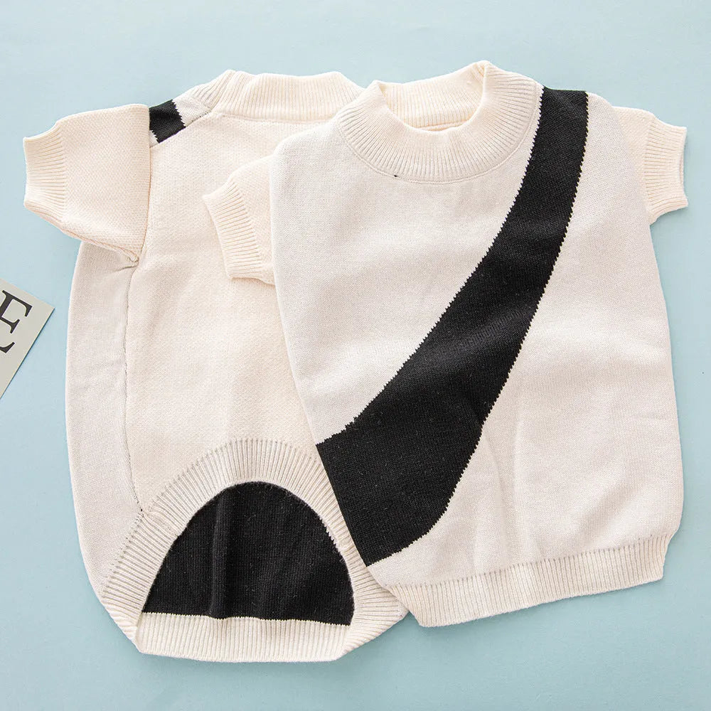 Wool knit sweater for a corgi or poodle dog on a hanger, showing colour options: black, orange red, pink, milky white, light green, sapphire blue.