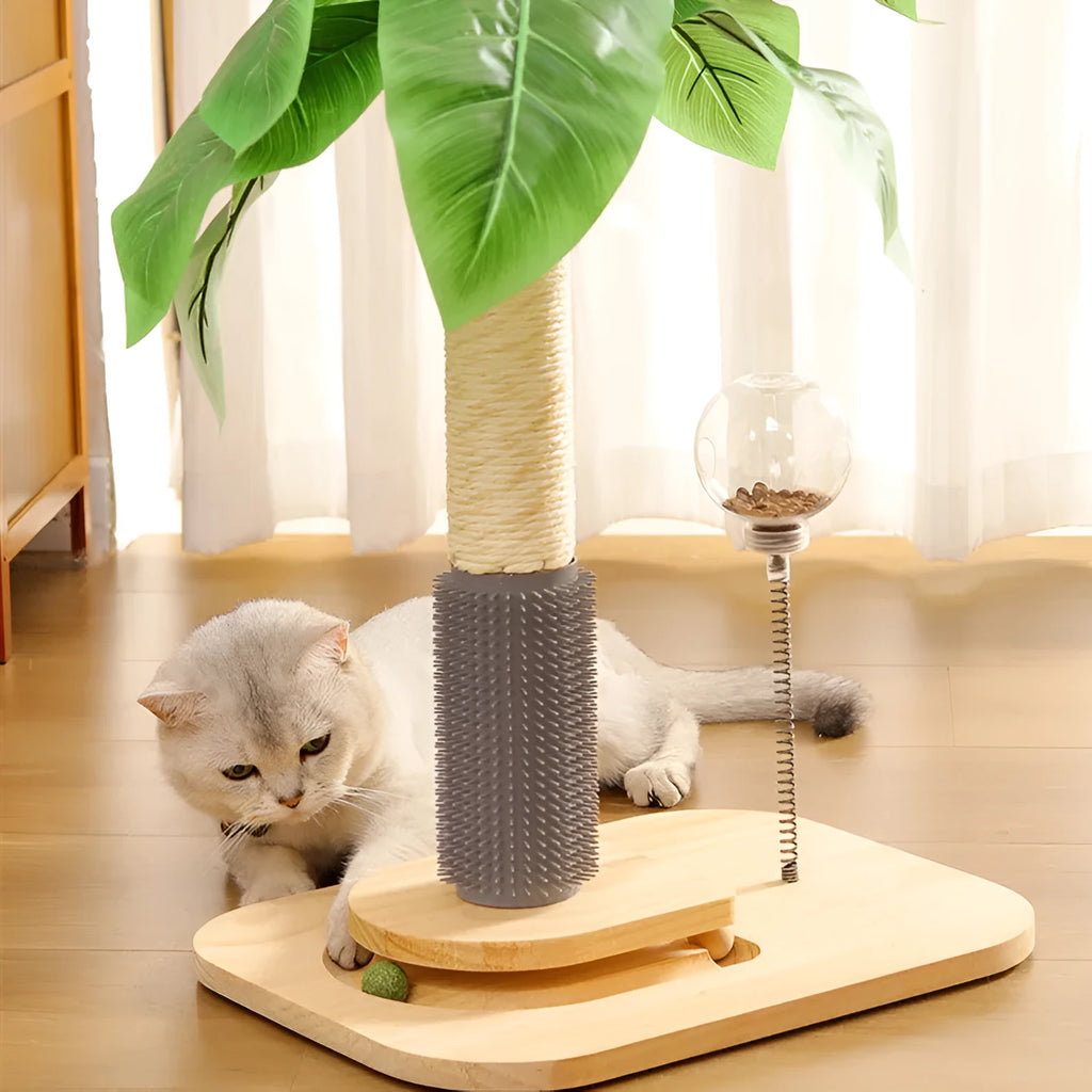 Wooden cat scratching post in Canna colour with a chamfered column and a hanging toy ball.