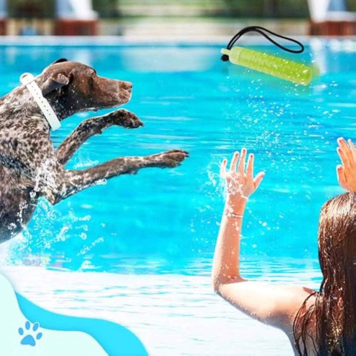 Floating dog pool toys in red and green TPR with rope, resting on water surface