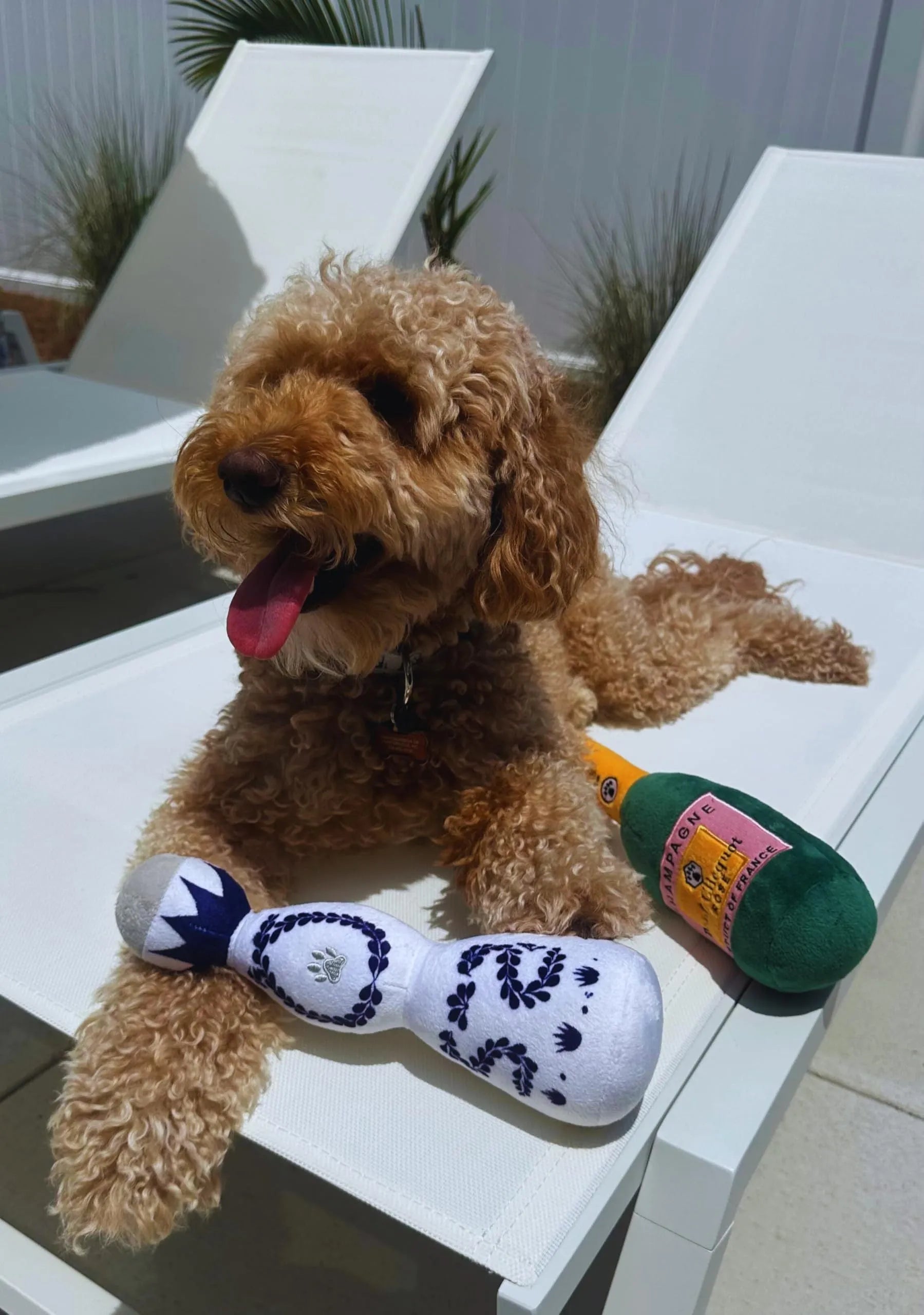 Funny tequila dog toy boujee plush toy with squeaker in red colour for all dog sizes 26cm
