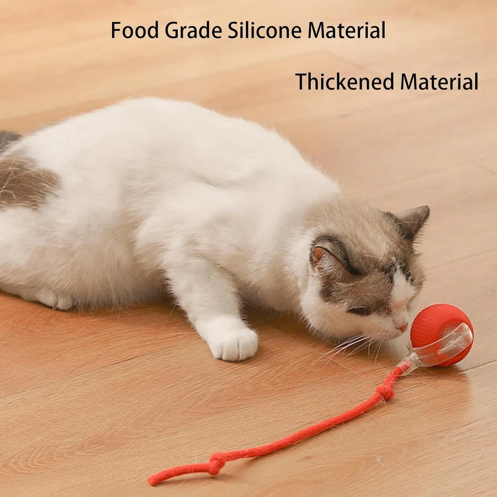 Interactive smart rolling ball toy for dogs and cats 6.5cm diameter in gray with rope attachment