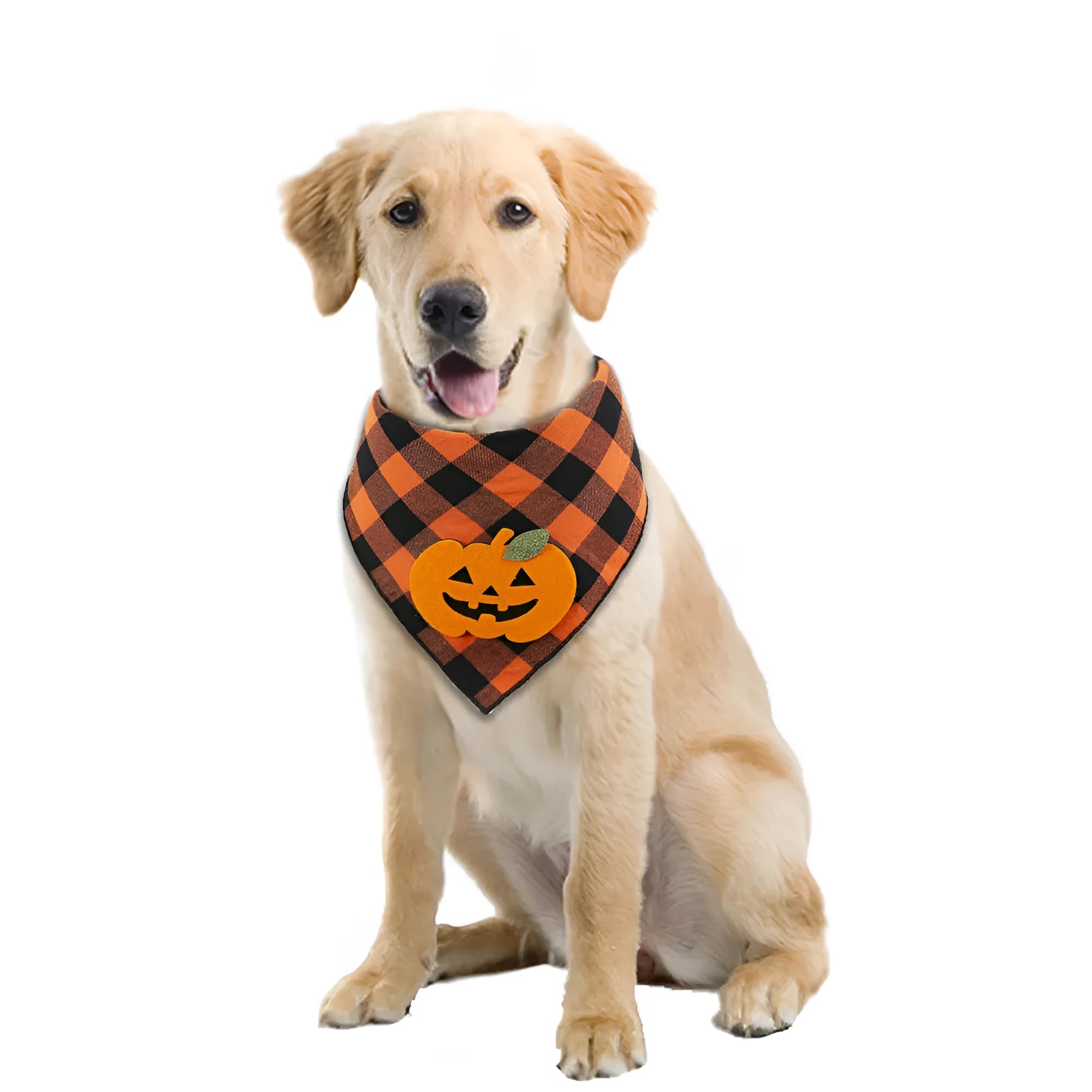 Orange plaid Halloween dog bandana with white skeleton and orange pumpkin felt appliques
