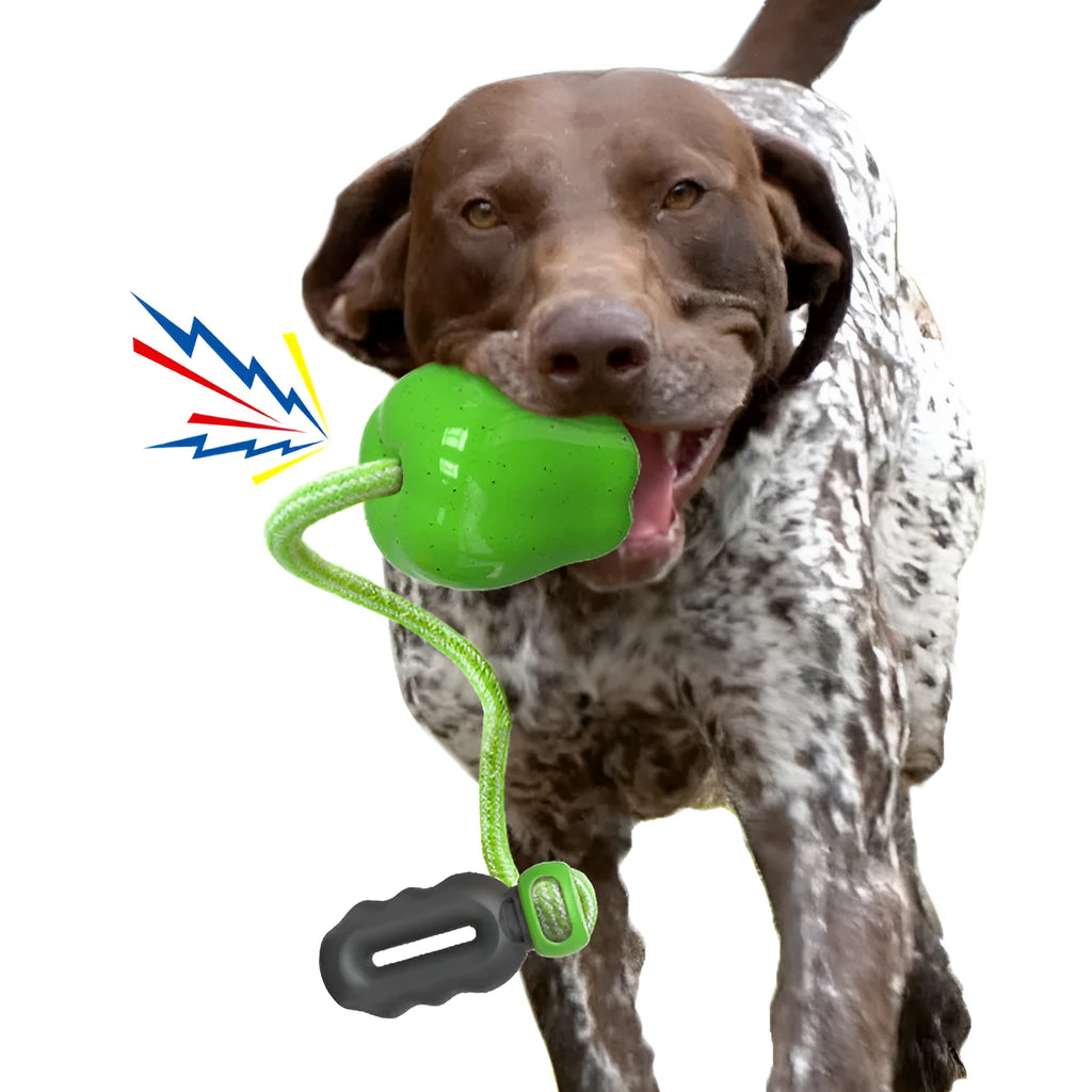 Green plastic dog molar ball toy with food dropping design for outdoor fetch and enrichment
