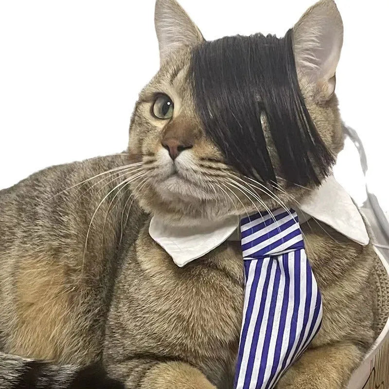 Black cat wig with imitation braid design for pet costume use