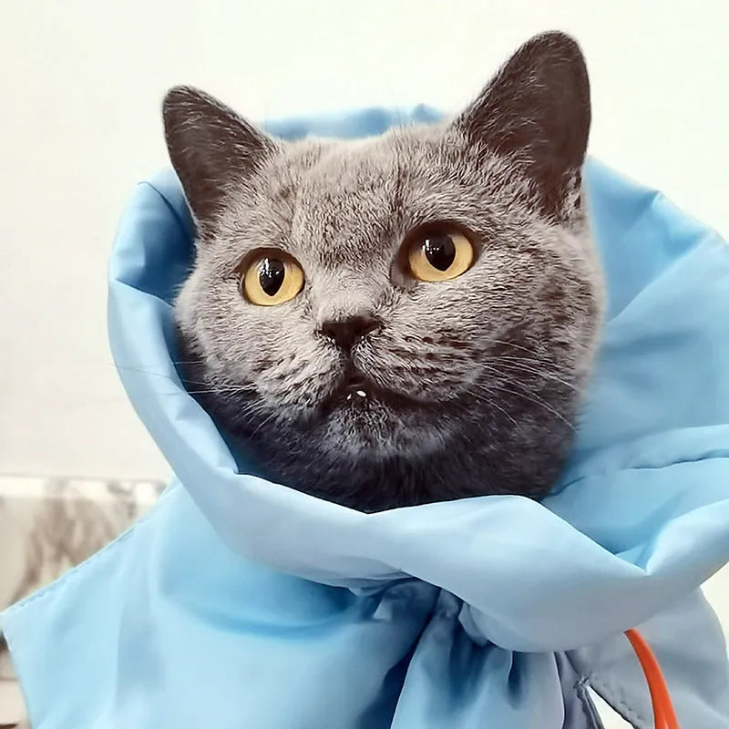 Soft adjustable polyester cat recovery collar in light blue, with elastic buckle, for small and medium cats