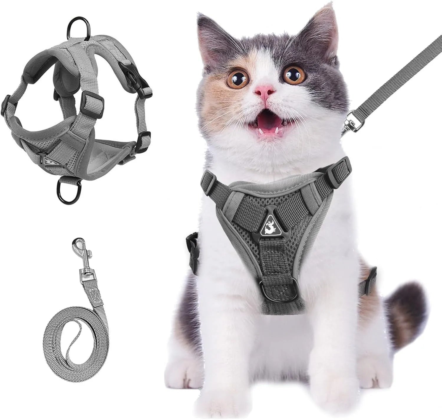 Blue breathable mesh cat chest harness with reflective stitching and leash, on a cat outdoors