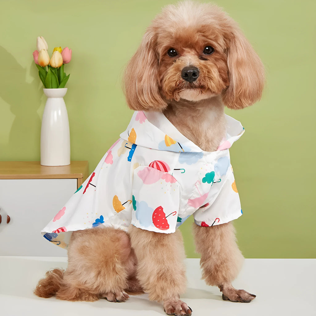 Cartoon umbrella pattern dog raincoat in colourful print with sizes XS S M L XL