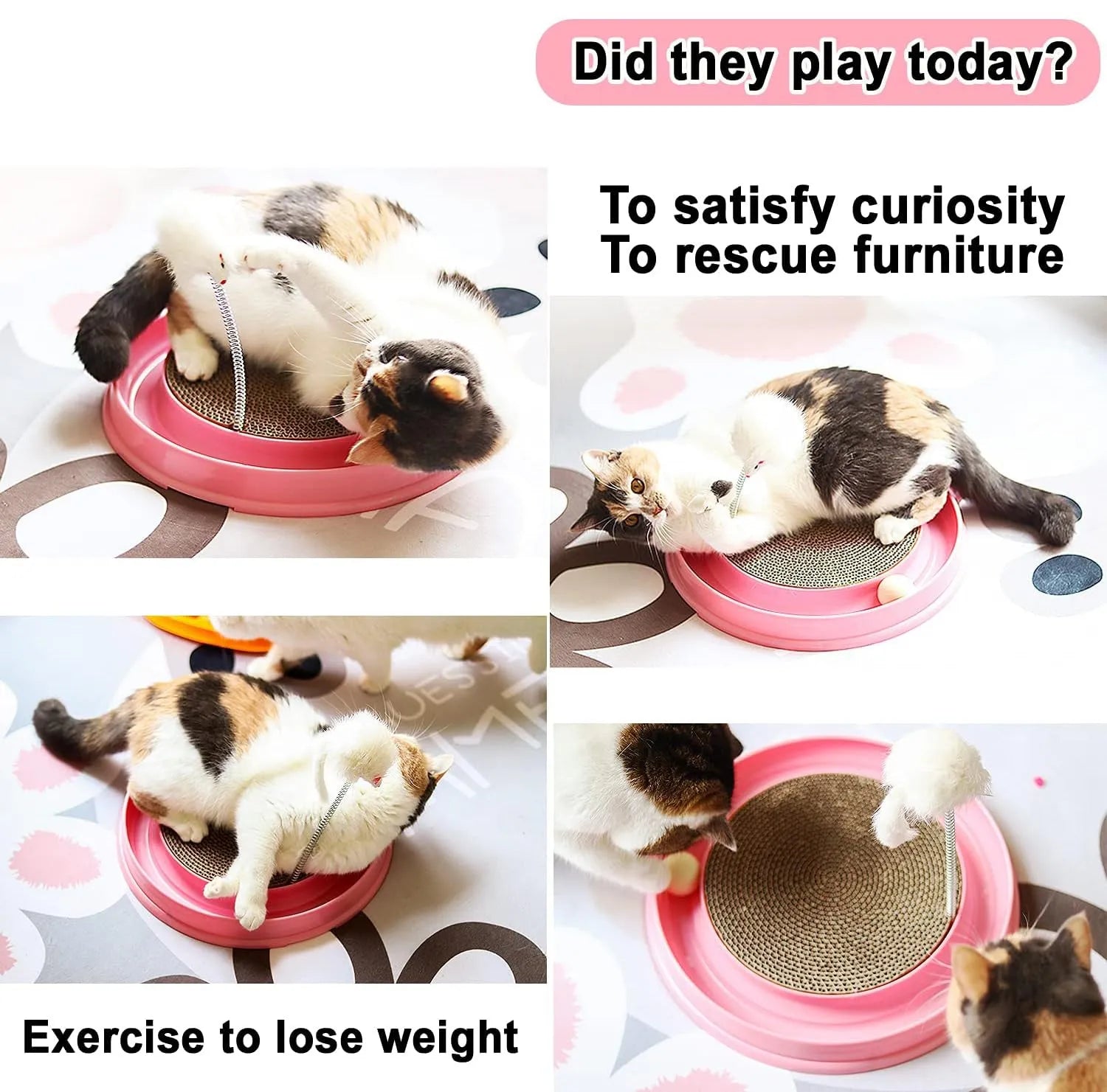 Interactive cat scratcher toy with ball track and replaceable cardboard scratch pad in blue colour