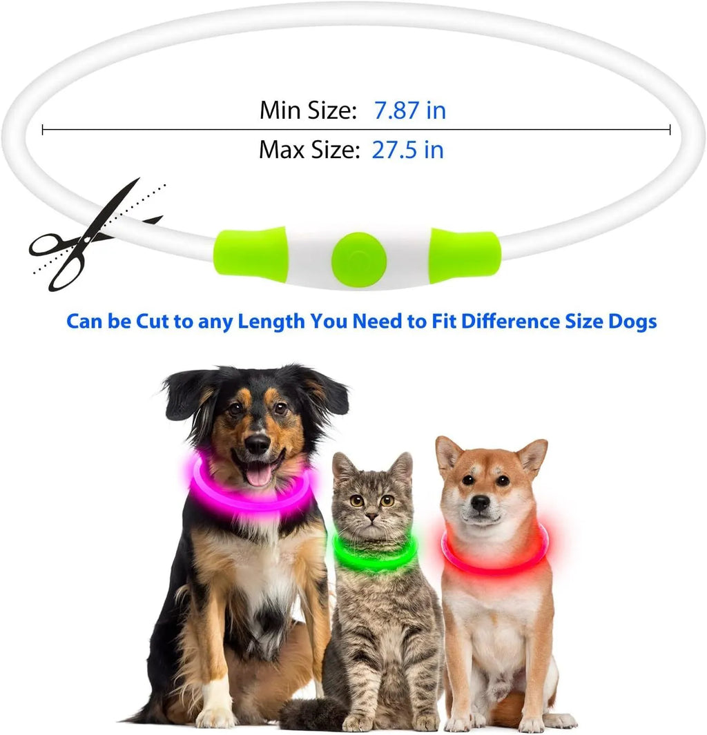 Blue USB rechargeable LED dog collar glowing with 360-degree visibility for nighttime pet safety