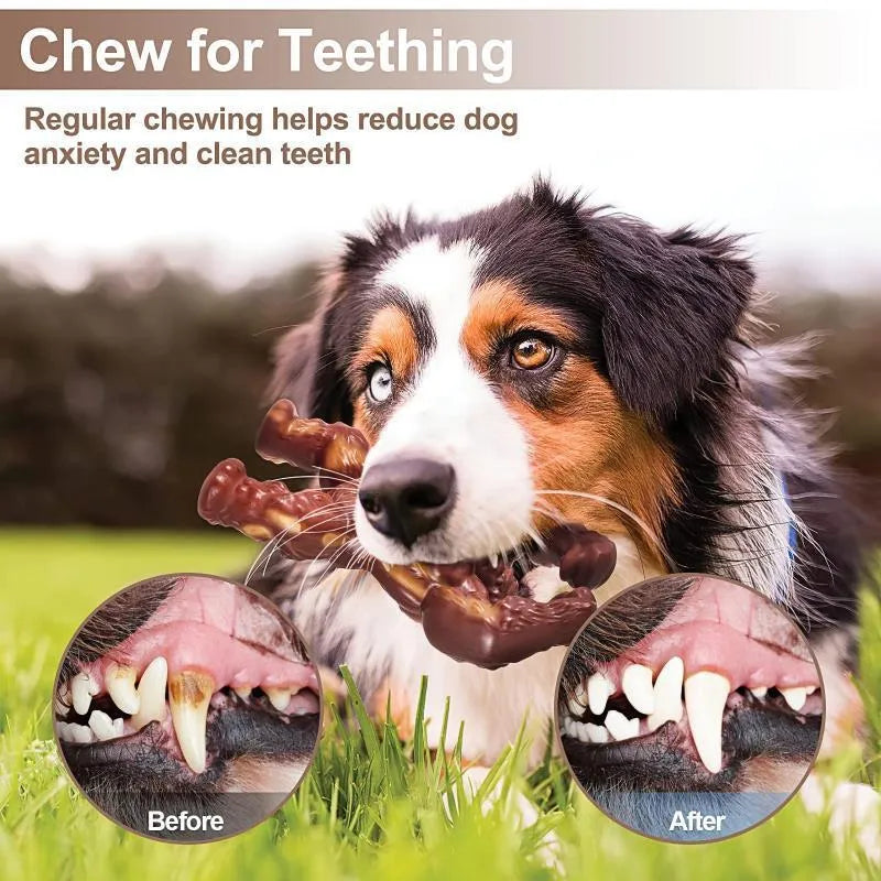 Scarlet nylon dog chew toy with beef flavour for molar cleaning and anxiety relief