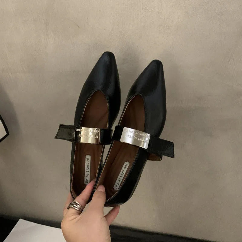 Women's pointed toe silver Mary Jane shoes with low heel, buckle closure, in black or wine red, sizes 35-40