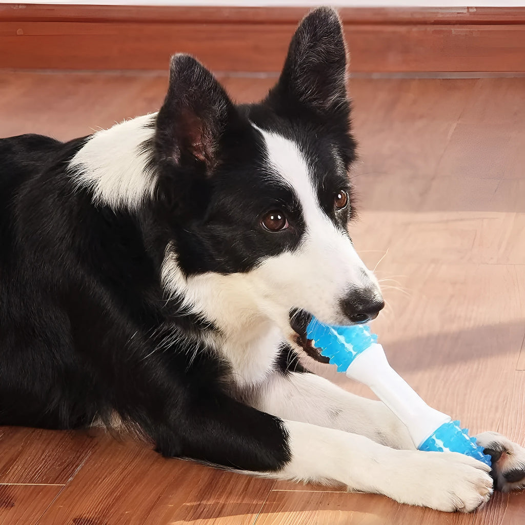 Dual-colour puppy teething chew toy for gentle chewers aged 2 to 8 months