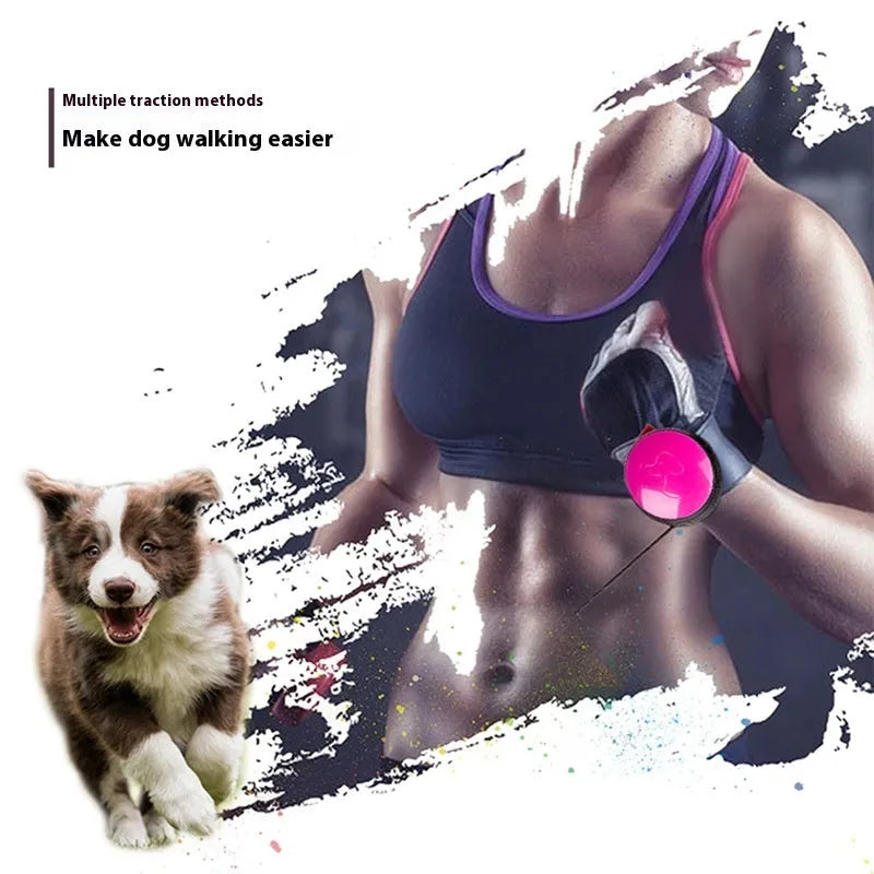 Automatic retractable dog leash with nylon construction and one-touch brake in various colours
