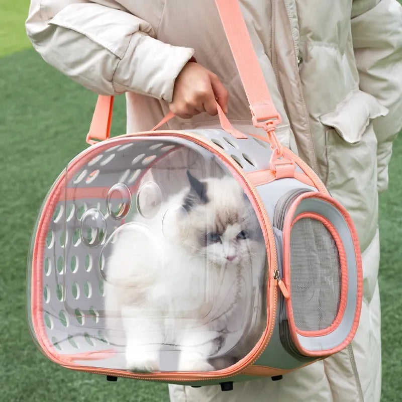 Transparent hard-shell cat backpack carrier in large size, shown in lake blue colour