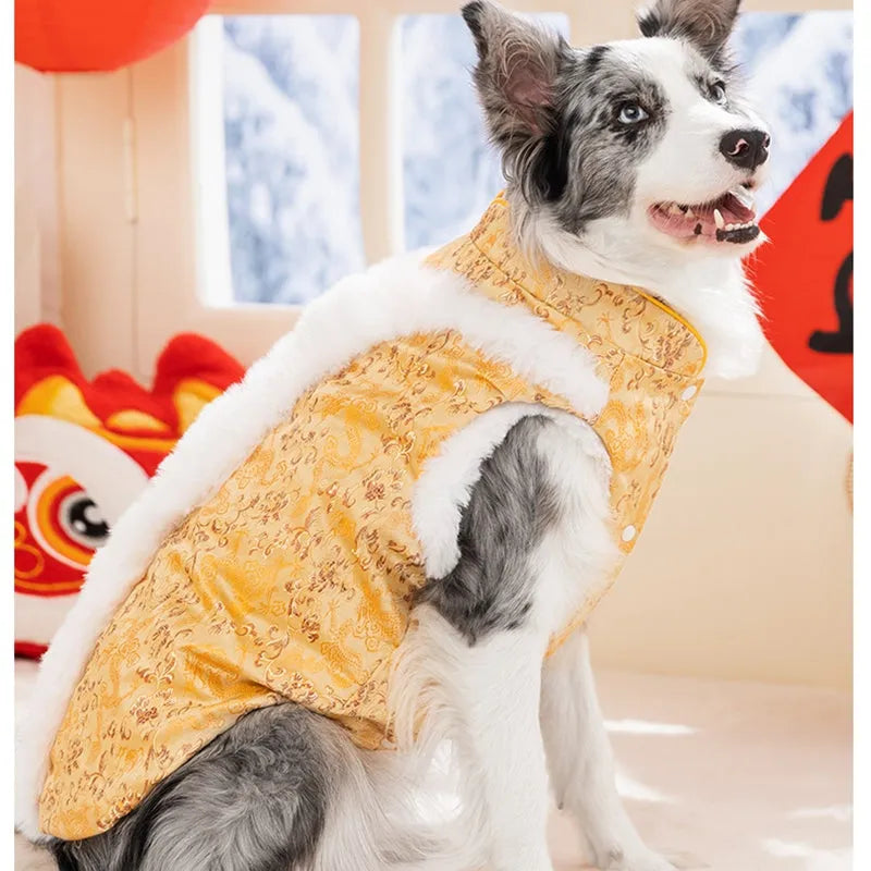 Chinese-style cotton-padded pet coat for large dogs in red with dragon embroidery and rabbit fur collar