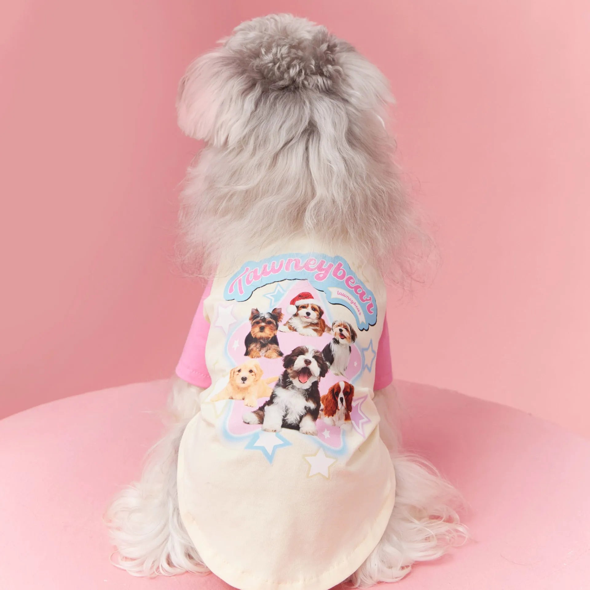 Cotton dog summer clothes in embroidered red and pink colours showing size range XS to XXL