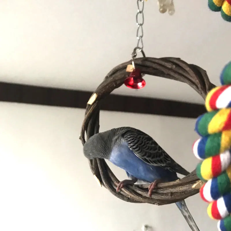 Natural apple branch braided ring bird toy in 15cm diameter for small birds, wood standing frame