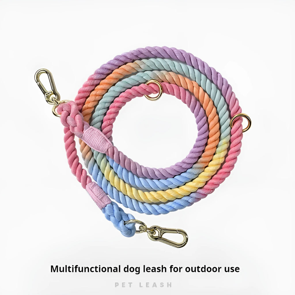 Woven rainbow dog leash on a green background showing double-headed design and silver metal accessories