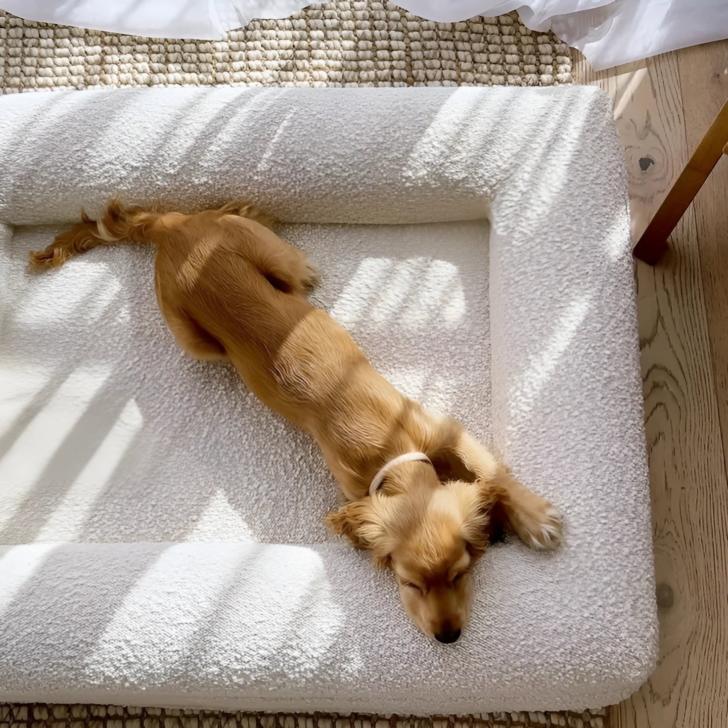 Rectangular beige cloth dog bed nest with raised sides on a plain floor, size M shown