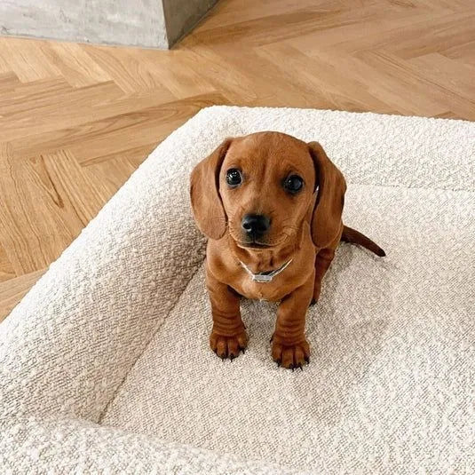 Rectangular beige cloth dog bed nest with raised sides on a plain floor, size M shown