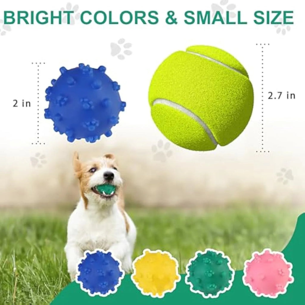 Bright colour spiked dog toy balls with paw print dimples measuring 2 inches for small breed dogs