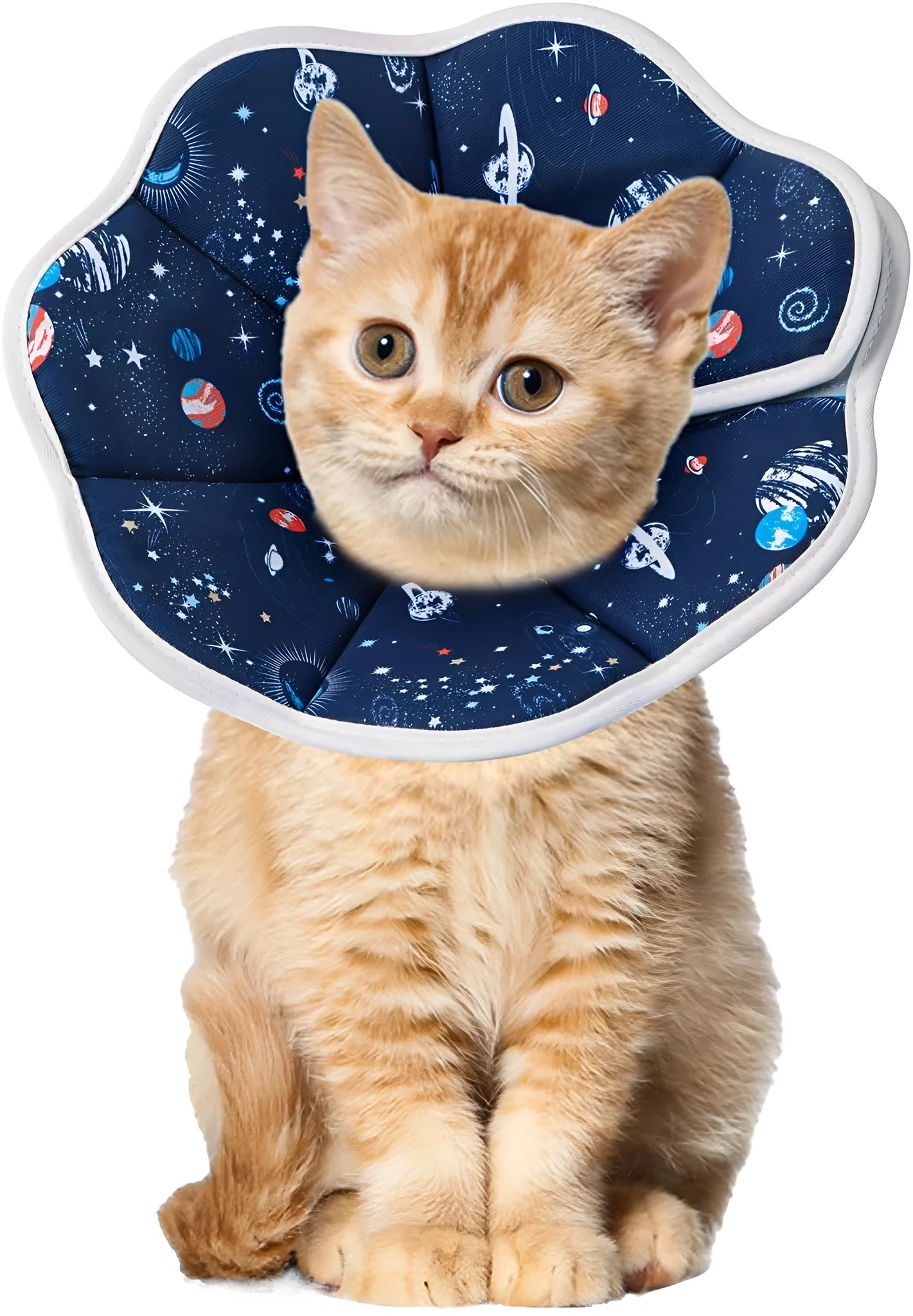 Soft cat recovery cone collar in Planet colour on a small cat, adjustable strap, breathable fabric design