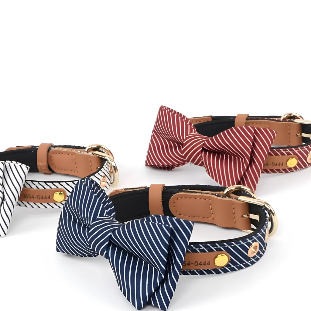 Simple cotton detachable bow dog collar in white with optional lettering on a 2cm width rope