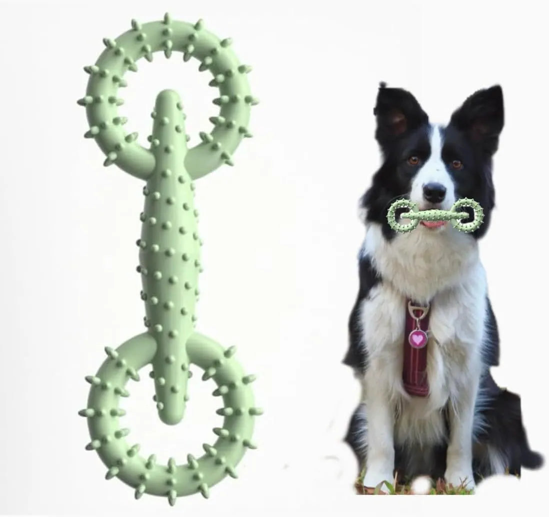 Blue TPR dog chew toy ring measuring 16cm diameter for safe puppy chewing