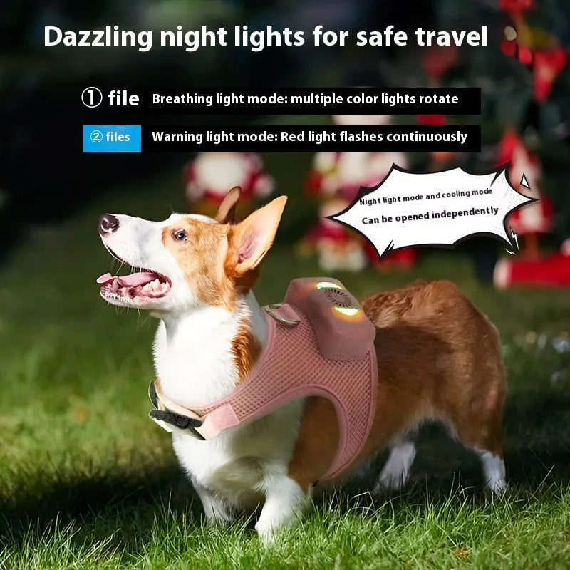 Mint green dog cooling vest harness with LED lights and leash for small breeds