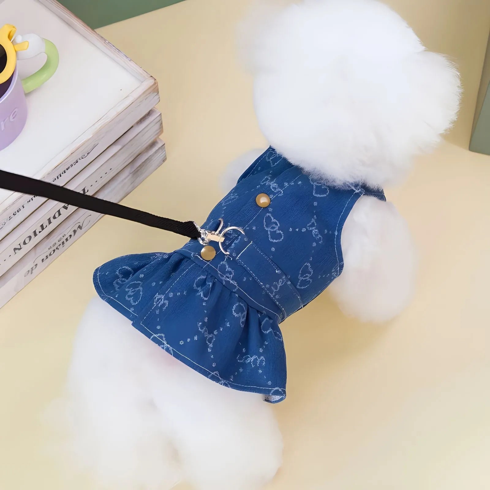 Teddy Bichon wearing thin denim princess dress with bracket-skirt design in HNXD denim colour