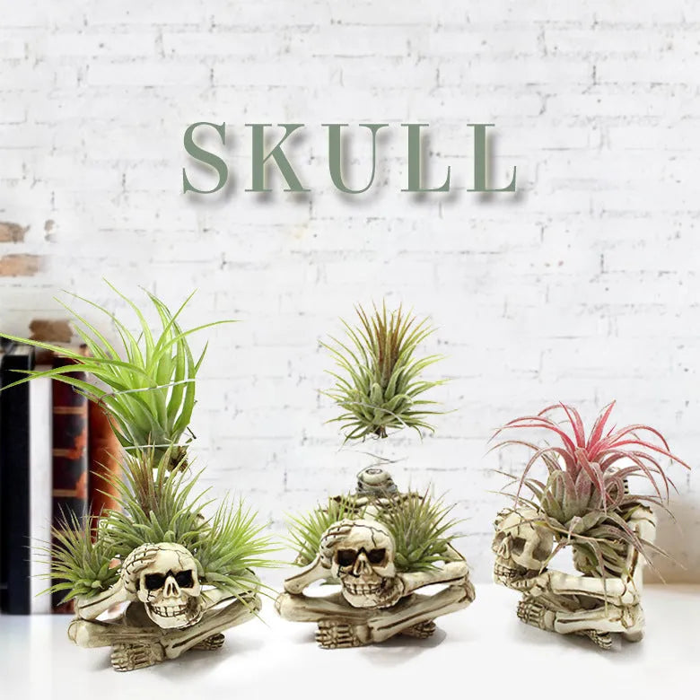 Resin gothic skull planter bracket for tillandsia air plants with three components