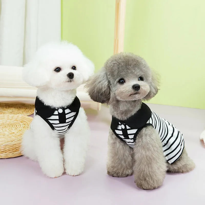 Pet dog wearing a striped cotton t-shirt with love print and a matching skirt.