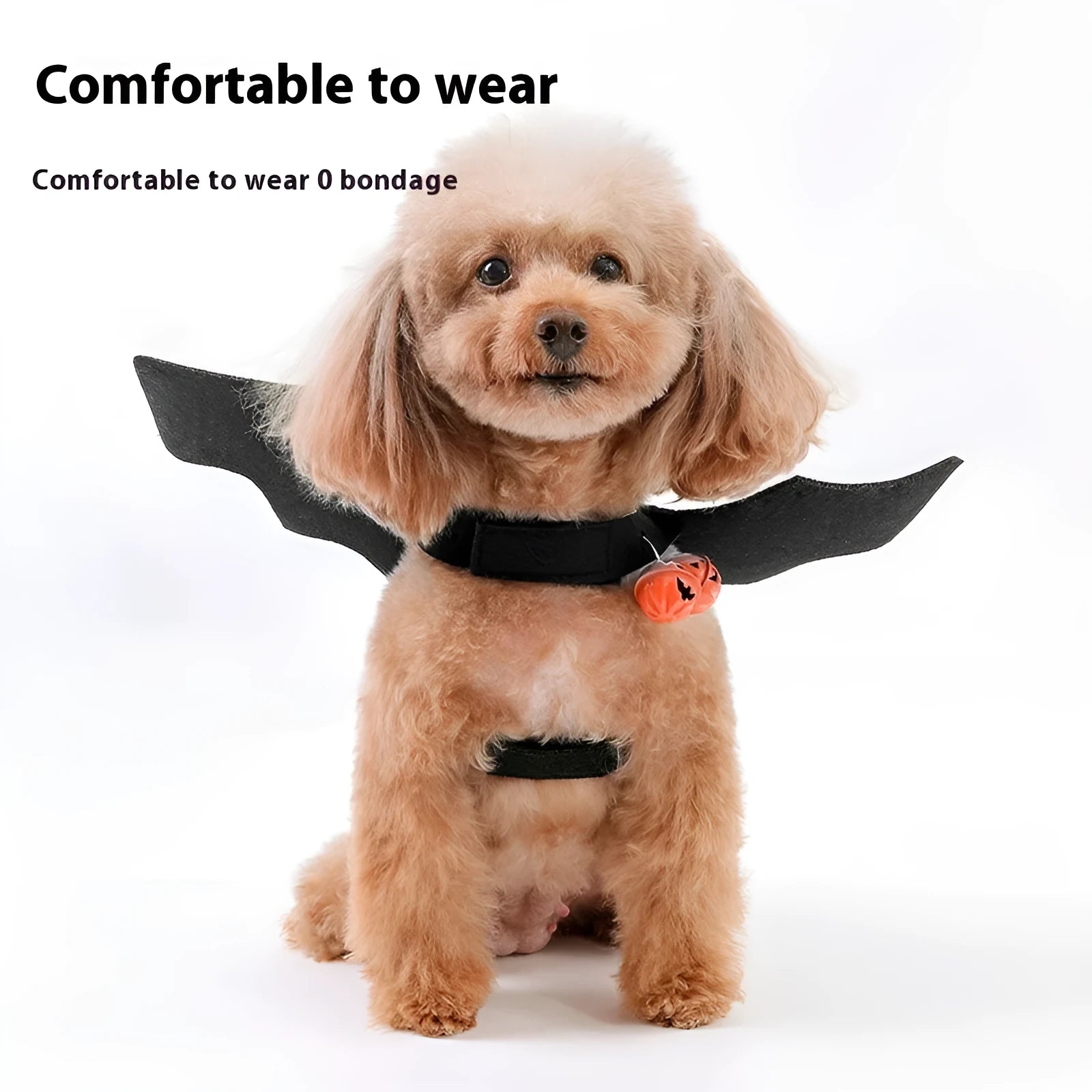 Black wings felt pet Halloween costume with bell on a small dog, available in sizes S M L