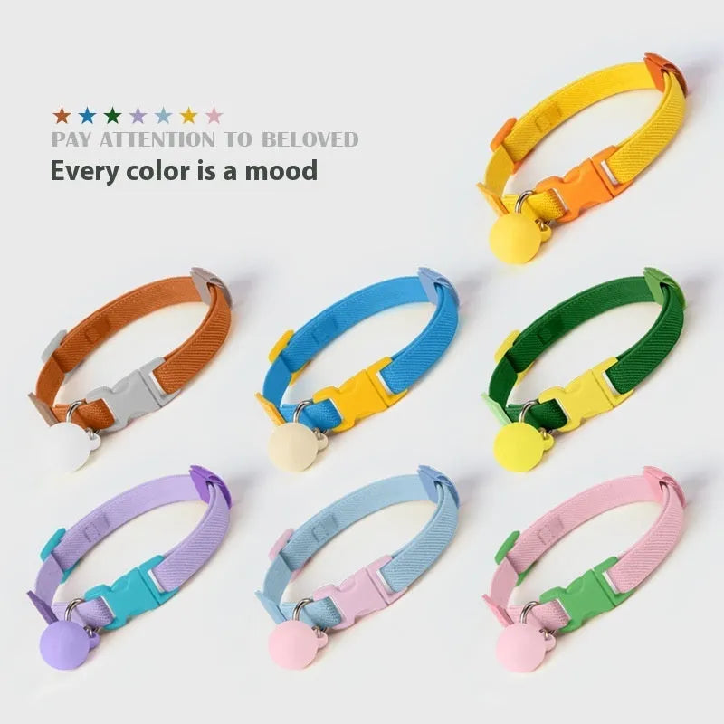Elastic polyester decorative dog collar for small breeds, adjustable from 22cm to 32cm, shown in a monochrome colour.