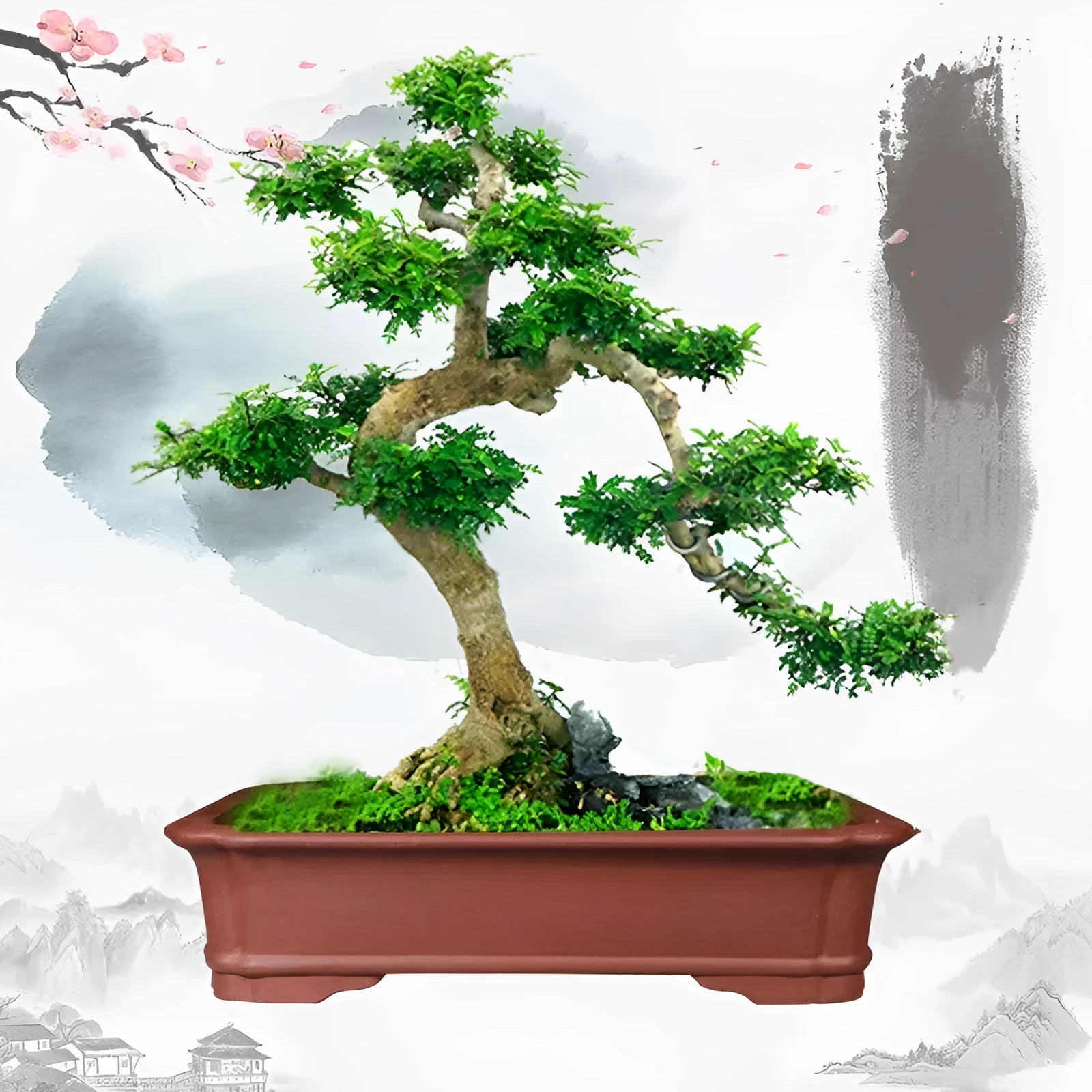 Handmade purple clay rectangular flower pot for bonsai and large plants, shown in three available sizes.