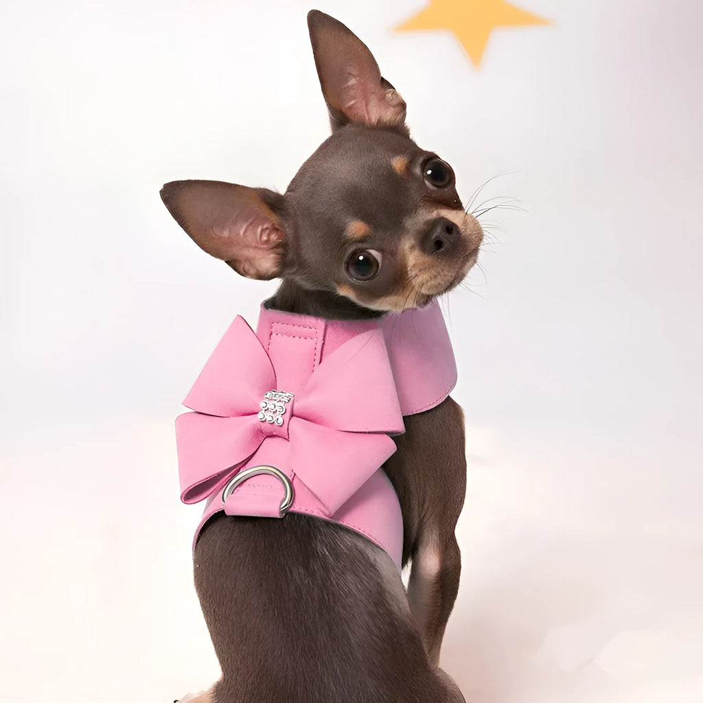 Cute bowknot puppy chest strap harness in microfiber available in pink, blue and orange colours