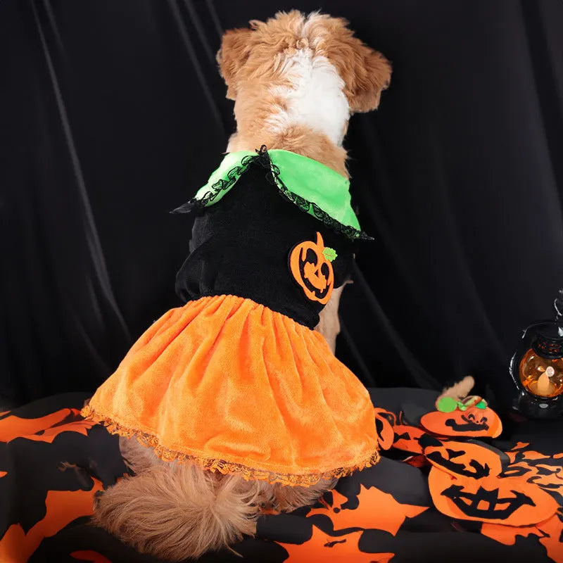 Halloween pumpkin skirt pet costume in crystal velvet for small dogs and cats