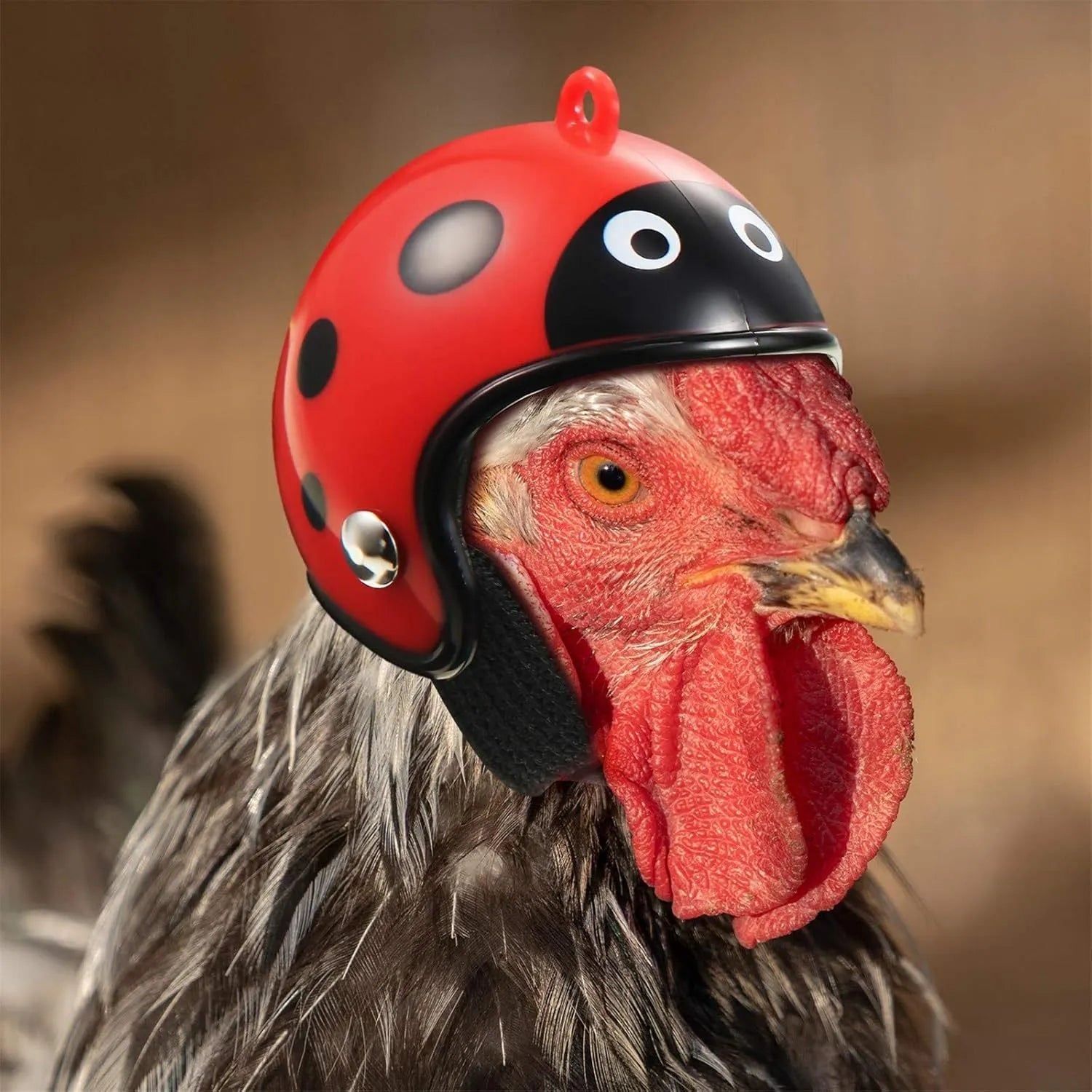 Small pet helmet for chicken and bird protection with adjustable elastic bands