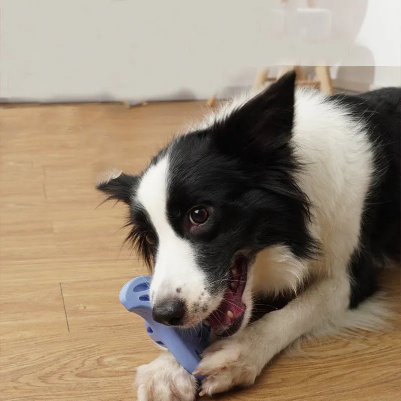 Blue bite-resistant boomerang-shaped dog chew toy with molar texture for large dogs.