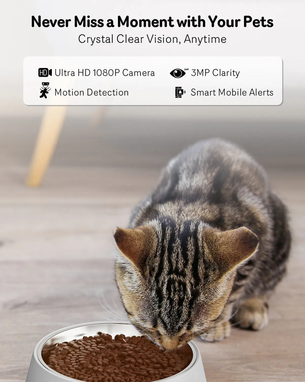Automatic cat feeder with 1080P camera, 4L stainless steel tray, 5G WiFi, night vision