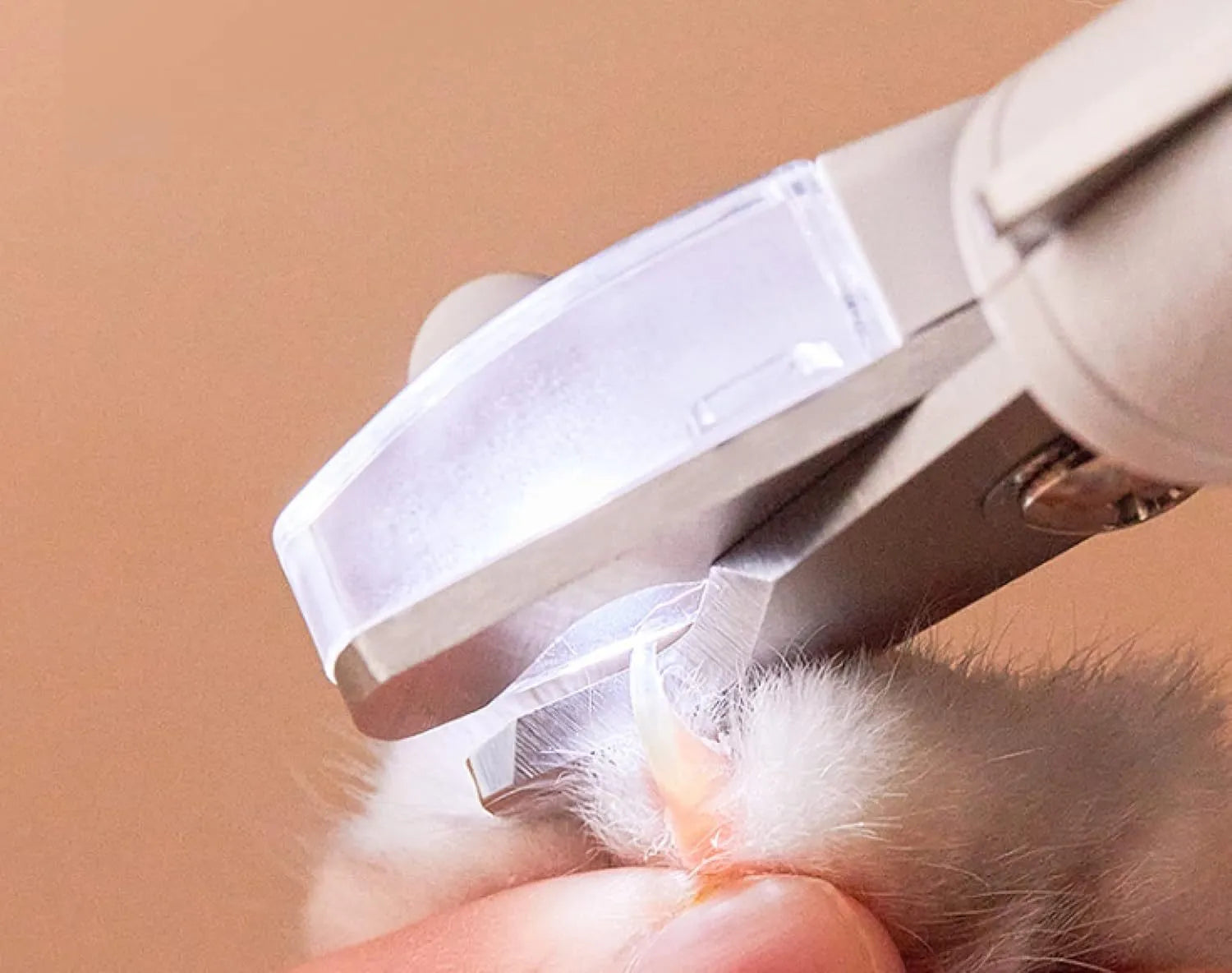 White pet nail clippers with LED light, transparent anti-splash guard, and a leather-like handle.
