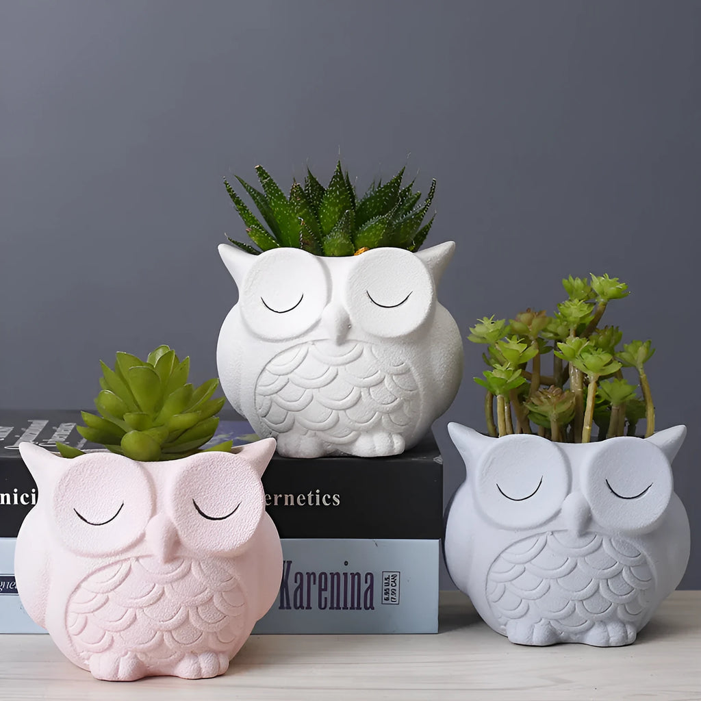 Handmade ceramic owl succulent pot in frosted finish with cartoon design