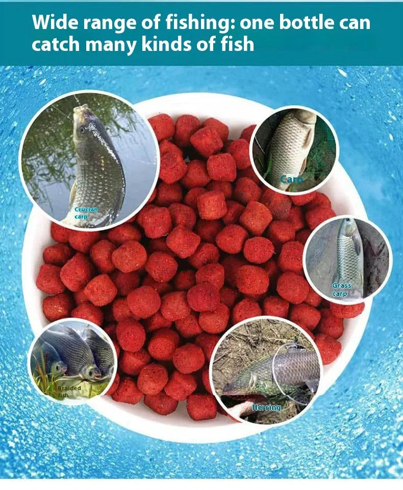 Fresh red fishing bait for crucian carp and grass carp in a bottle