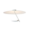 Creative iron art chandelier ceiling lamp with warm LED light in white or gold colour options