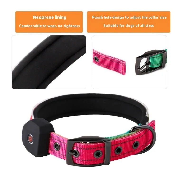 LED USB rechargeable dog collar in blue green plaid with reflective stripe, shown on a dog's neck.